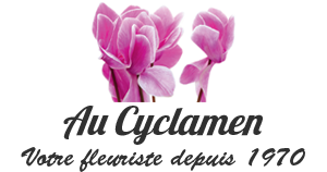 Au Cyclamen