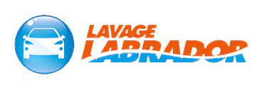 Lavage Labrador